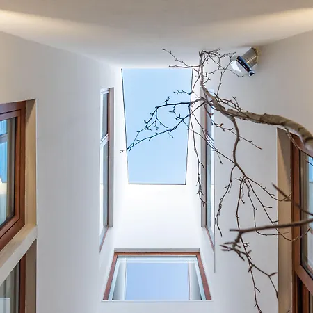 Feel Discovery Homes In Douro